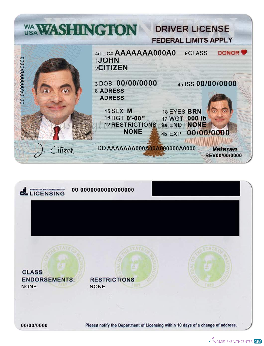 download USA Washington driving license (2018 – present)